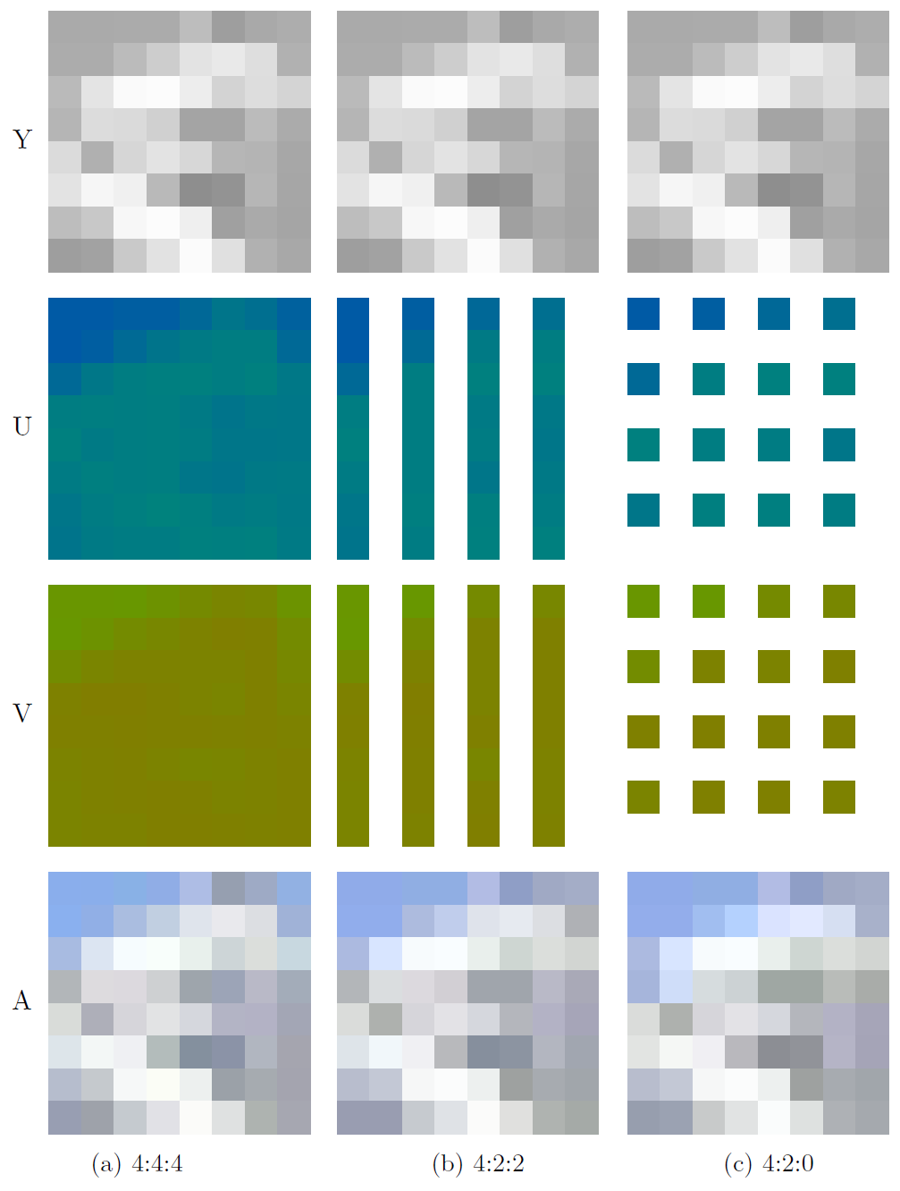 Schematische Darstellung der Farbunterabtastung. Bei 4:4:4 werden die Informationen aller drei Kanäle vollständig abgetastet. Bei 4:2:2 wird der Y-Kanal vollständig und im U- und V-Kanal jeweils nur jeder zweite Pixel jeder Zeile gelesen. Bei 4:2:0 wird der Y-Kanal ebenfalls vollständig gelesen, während die Farbkanäle U und V jeweils nur zur Hälfte in der Horizontalen und in der Vertikalen gelesen werden, also nur jeder zweite Pixel in jeder zweiten Zeile. Werden die drei Kanäle zusammengerechnet, weisen die Gesamtbilder optisch kaum sichtbare Unterschiede auf.